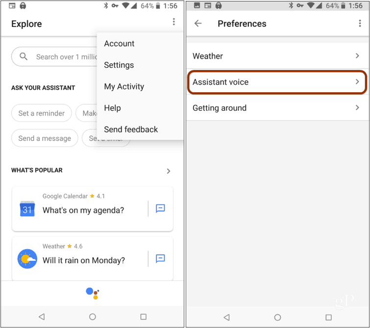 Google Assistant Voice Preferences